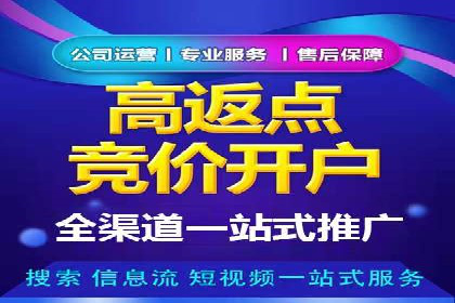 探索SEM竞价专员的技能要求与成功案例